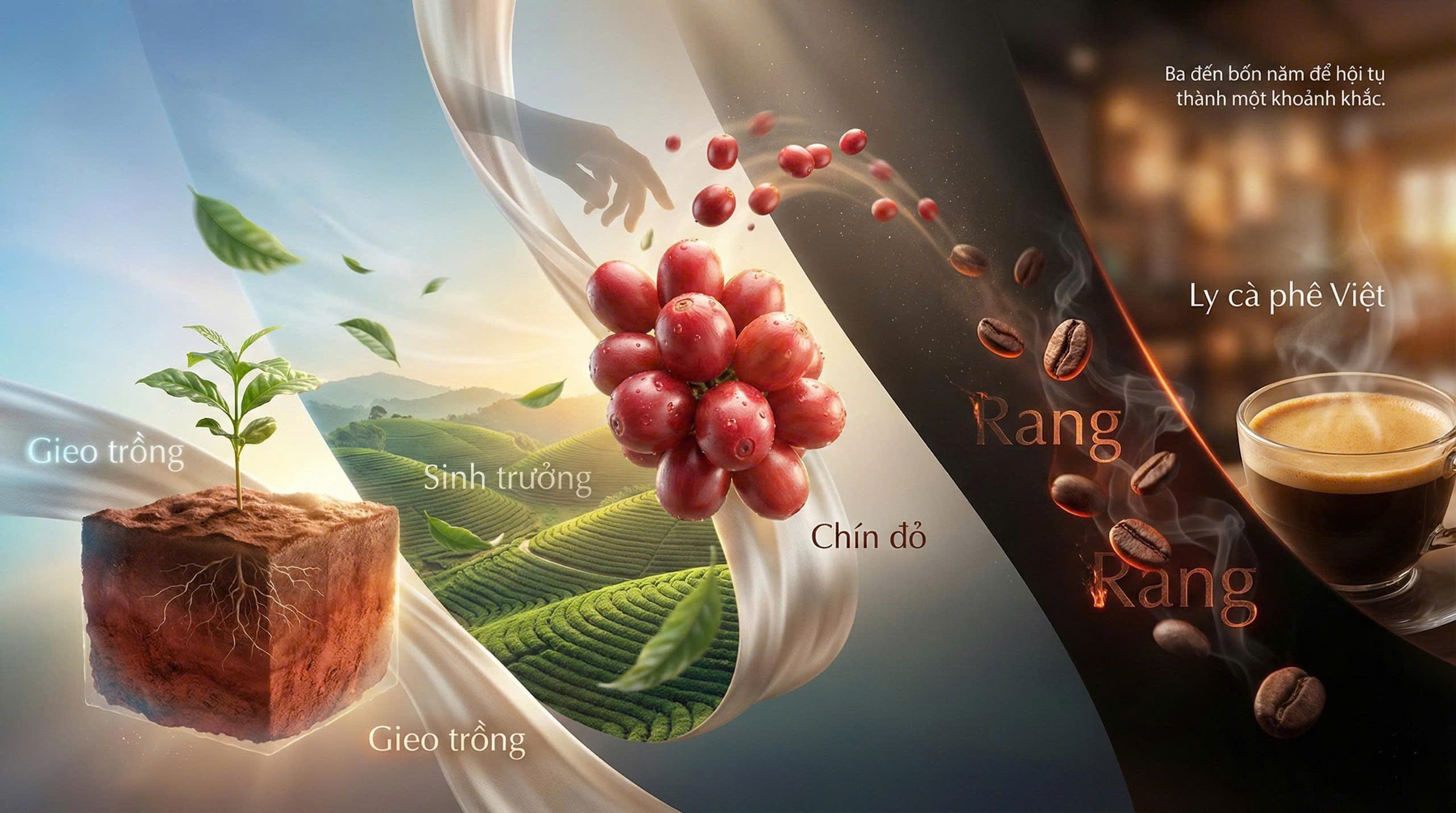 Hành trình cà phê Minh Tuyết